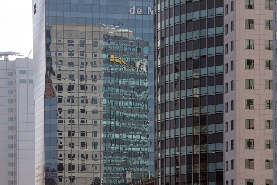 all seo company in montreal