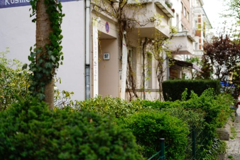 estate agent