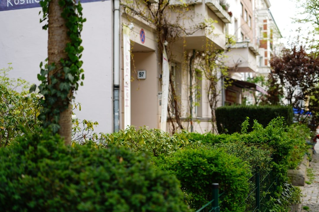 estate agent