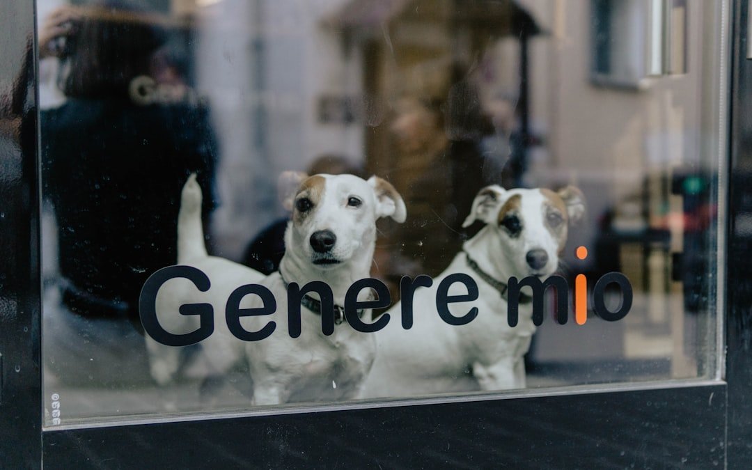 generation in data entry