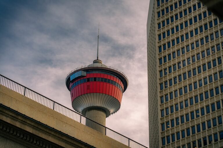 seo edmonton