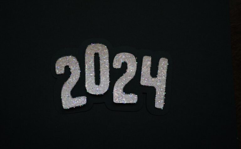2024 in