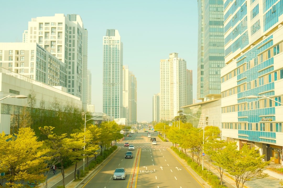 does growmatic offer seo services for real estate