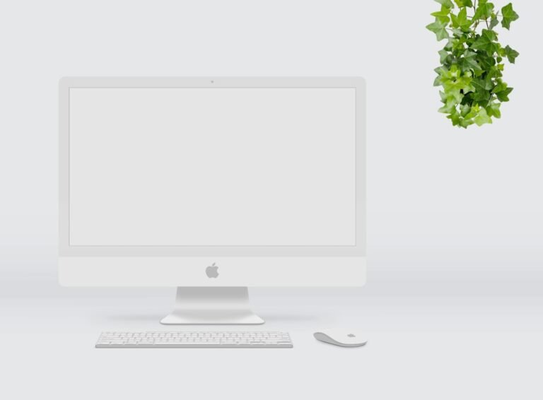 email marketing for ecommerce brands