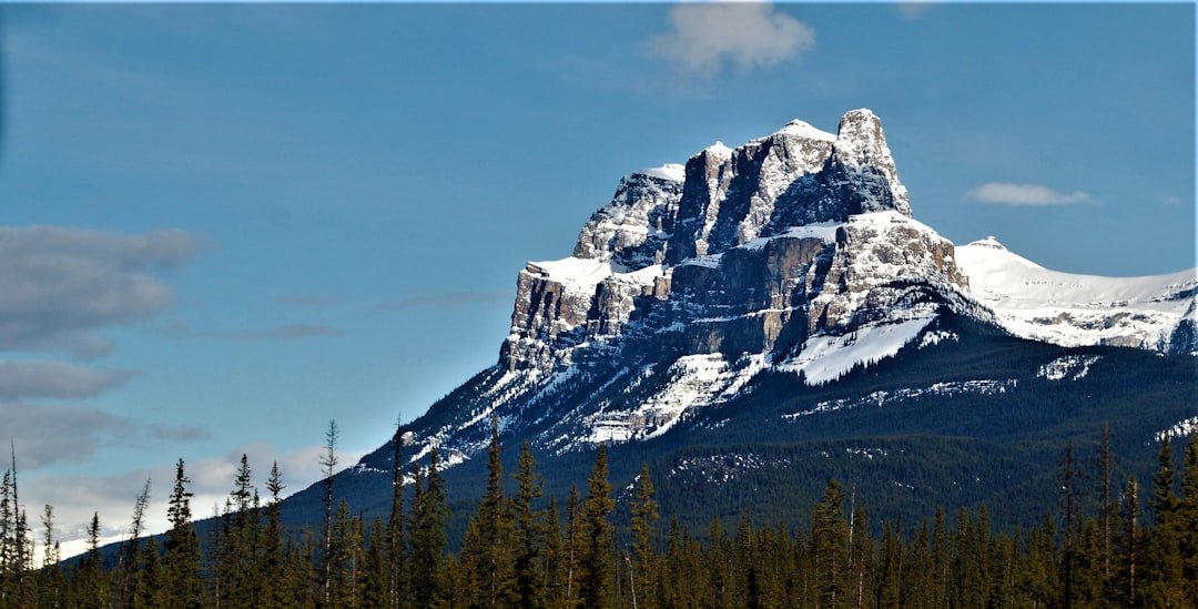 email marketing in canada