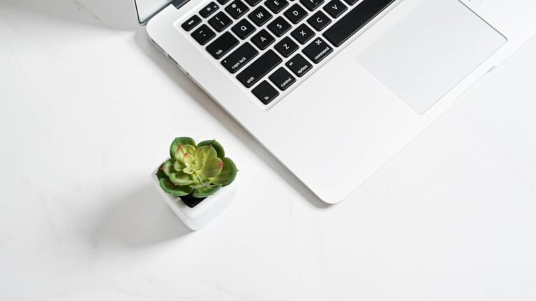 email marketing service for small business
