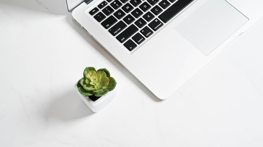 email marketing service for small business