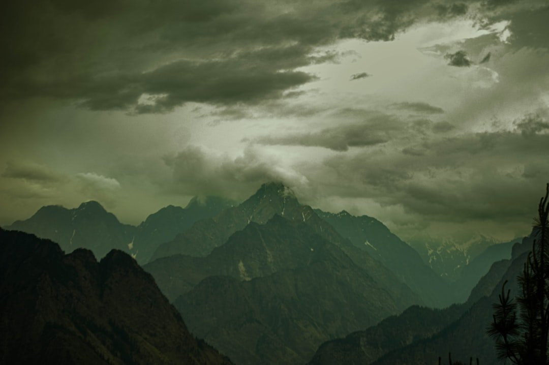 examples in pakistan