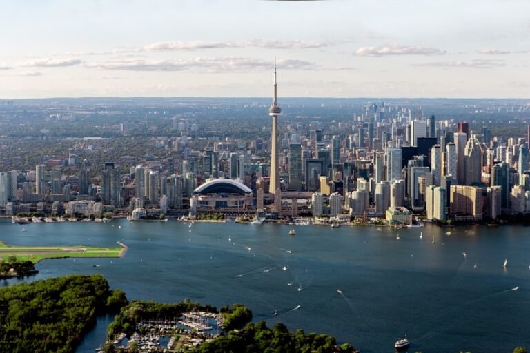 local seo services in toronto