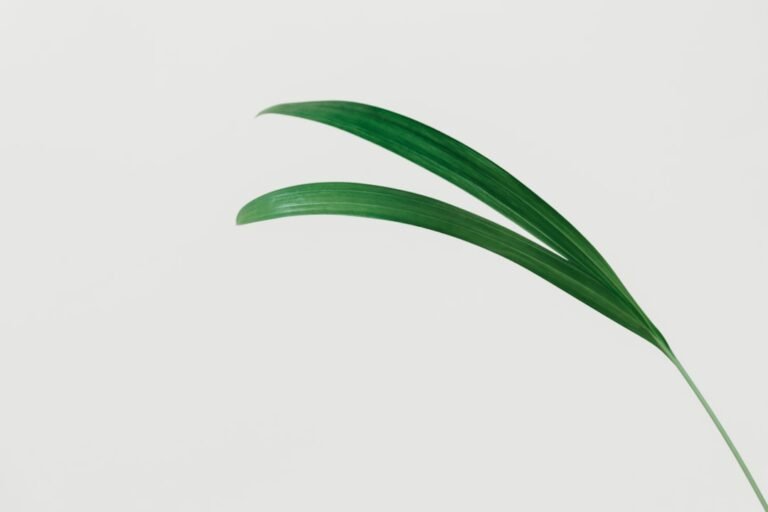 ppc advertising examples