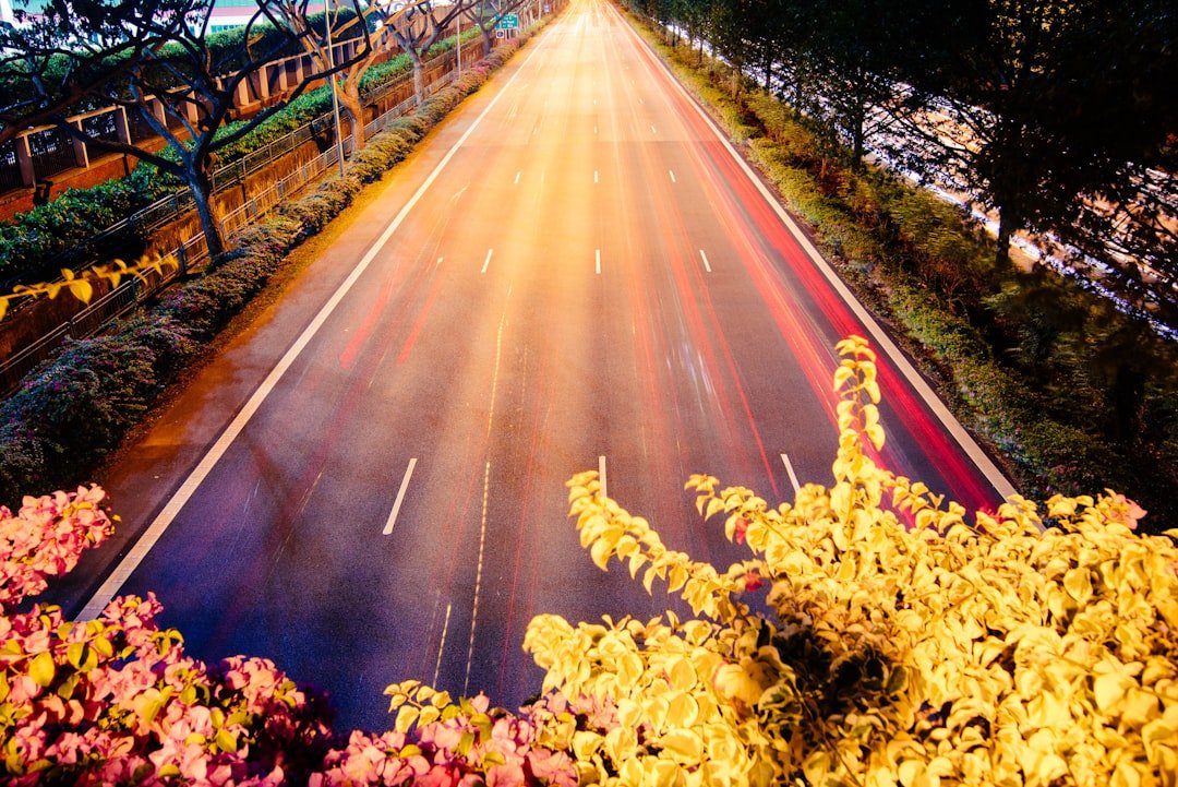 traffic