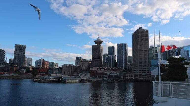 web development company in edmonton