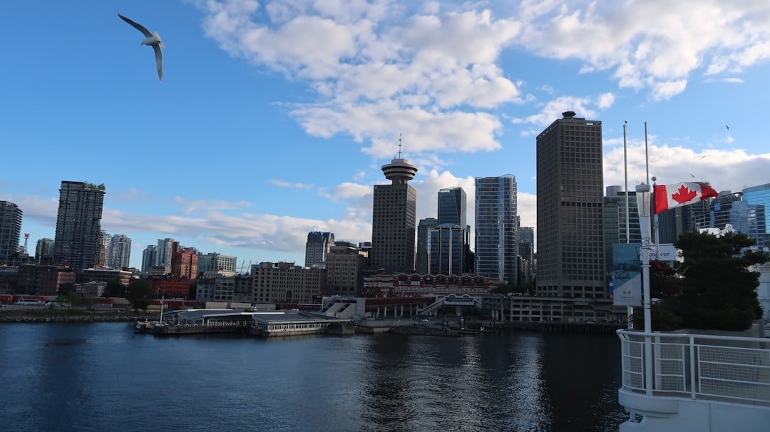 web development company in edmonton