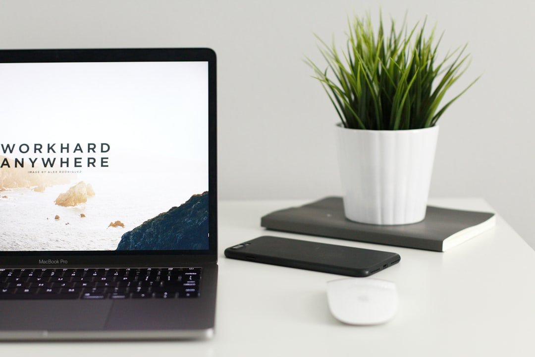 wordpress developer
