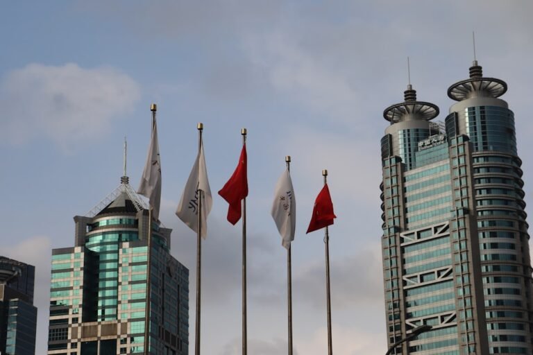 local seo services in canada