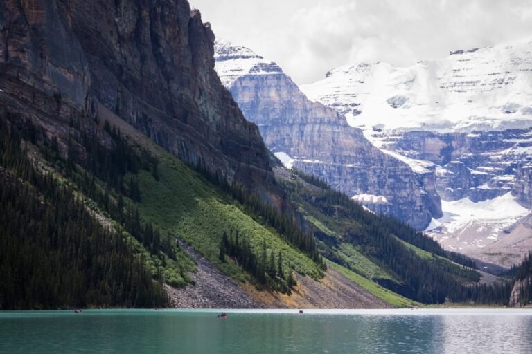 marketing automation canada reviews