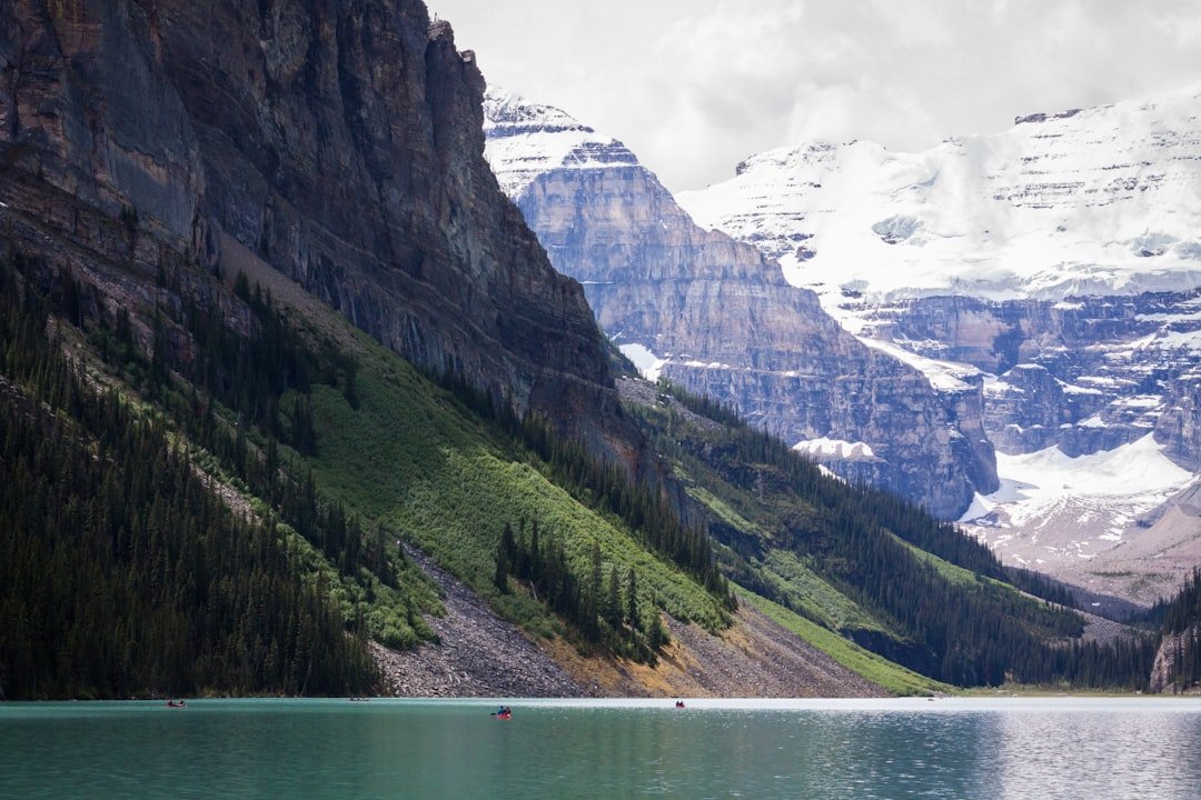 marketing automation canada reviews