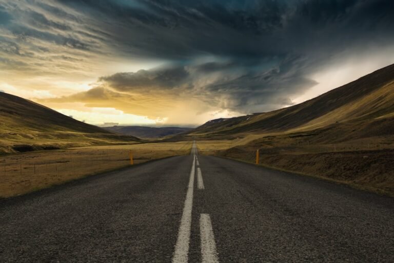 wordpress development roadmap 2024